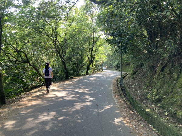 大棟山登山步道2496066