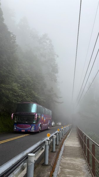 見晴懷古3109981