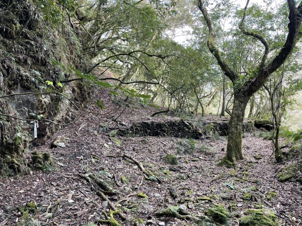 鍛鍊海鼠O型縱走 (上)1314492