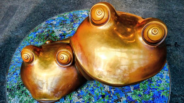 大安公園,台大校園3012098