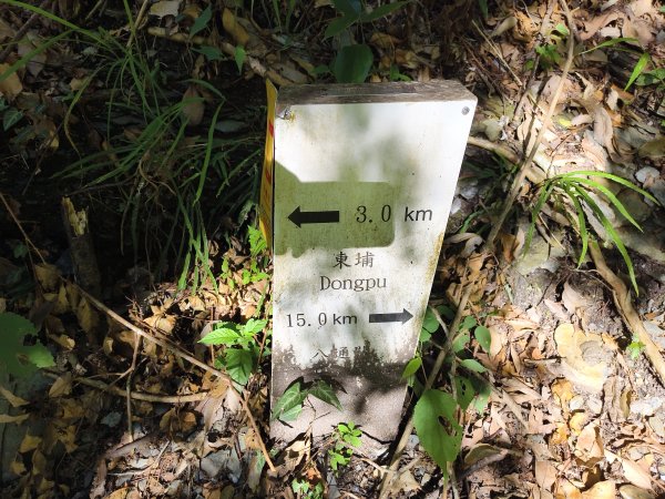 [玉山尋寶任務-07/12] 2025_0824 八通關雲龍瀑布步道2870565