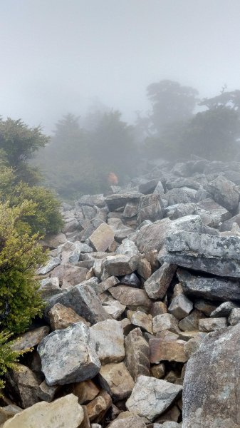 大霸群峰之旅596391