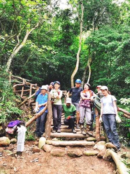 童軍團手作步道體驗in大坑5-1步道580917