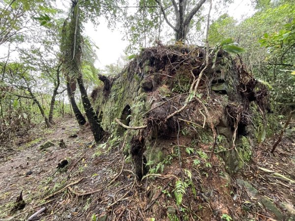 武山坑炭窯2990726