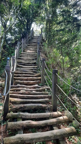 《台中》虎頭蜂巢｜大坑5號登頭嵙山黑松亭（聖普宮）202508092855080