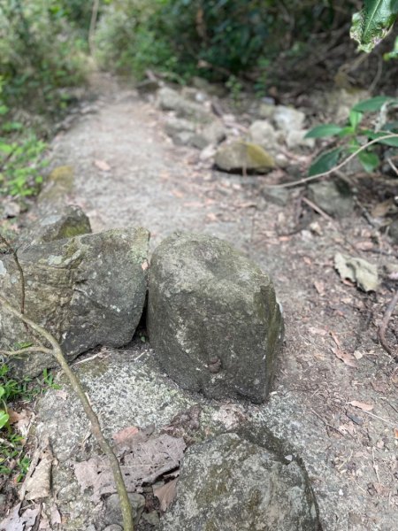 小百岳 三腳南山2686594