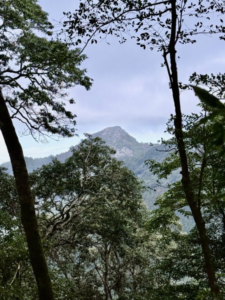 撒落一路楓紅-稍來山    2026.01.012976373