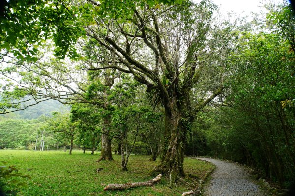 新北 烏來 志良久山3035169