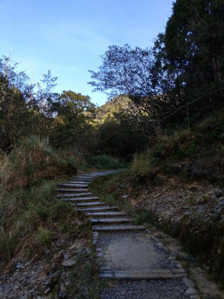 翠峰湖環山步道781348