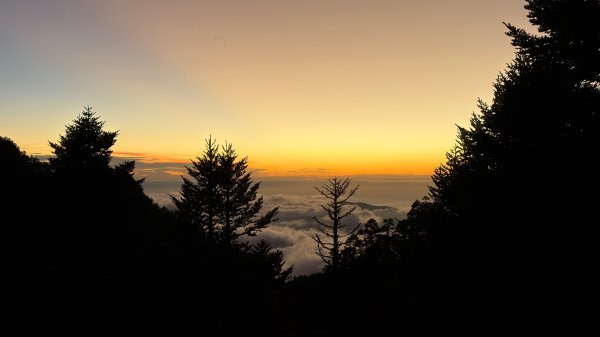 玉山主峰步道2950037