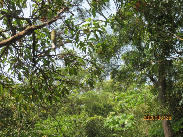 烘爐地南勢角山908510