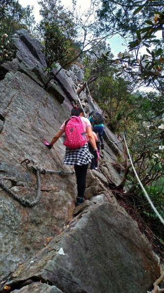 鳶嘴山 2019/05/05580958