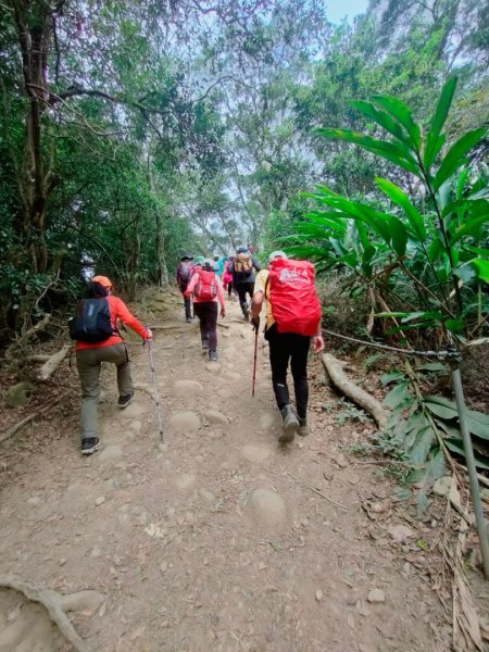 新竹［飛鳳山+中坑山+石壁潭山+大板根o形縱走］2231649