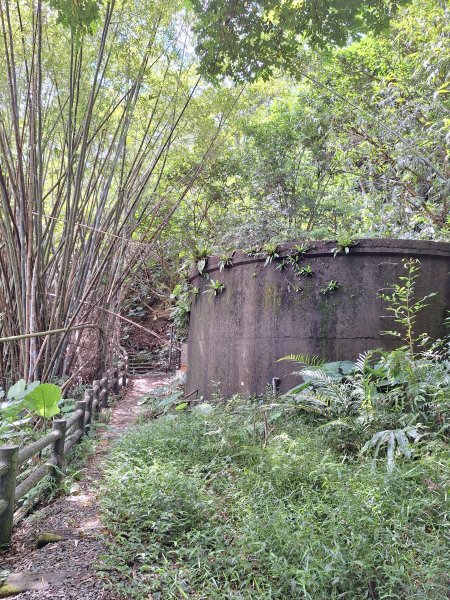 望龍埤三山O型202509272901703