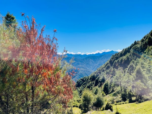 1111114麟趾山-鹿林山-鹿林前山O走1914762