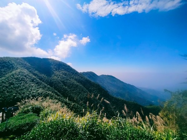 雲嘉連峰2365719