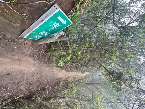 皇帝殿202603293035836