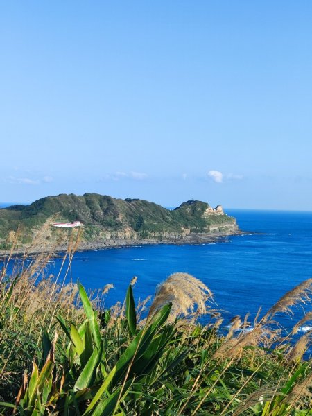 龍洞灣岬步道-蚊子坑山-北勢坑古道2981930