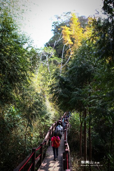 新田登山步道~聚興山1406418