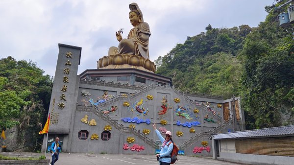 (姨婆趴趴走)第二集:桃園金牌縱走，攀登金平山、金平山南峰、牌子山，順道造訪三民蝙蝠洞2104927