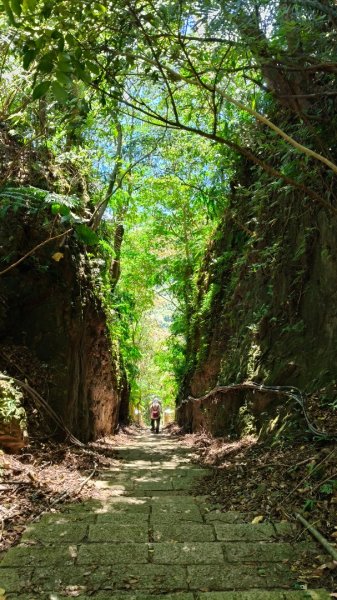 叮叮叮：一個人的微笑山線😊2917425