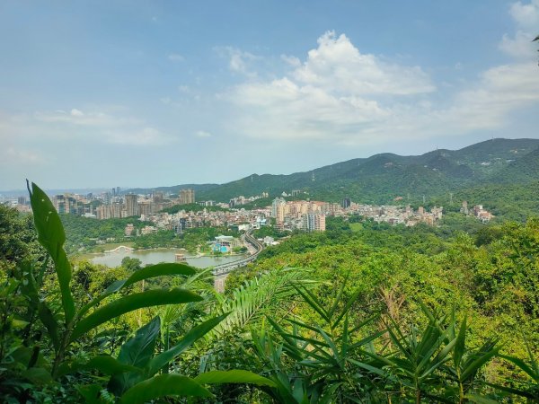 ［內湖三山連走］（白鷺鷥山，康樂山，明舉山）（2023/8/6）2242159