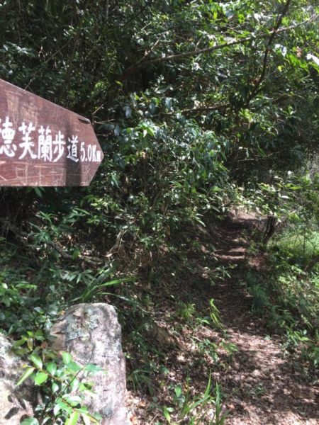 谷關七雄之老五-東卯山406533