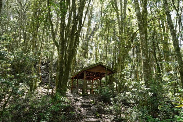 台中 和平 馬崙山2796972