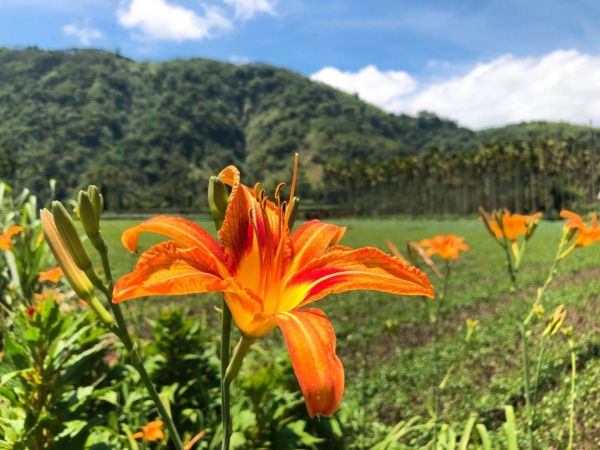 竹坑溪步道（龍宮瀑布、雷音瀑布）339812