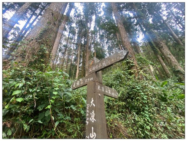 大凍山、頂湖步道 O型ㄧ圈2984151