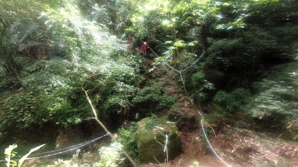 清幽的古道與舊日採礦遺址巡禮瑞芳蛇形子古道登烏塗窟山與獅子嘴奇岩O形2756643