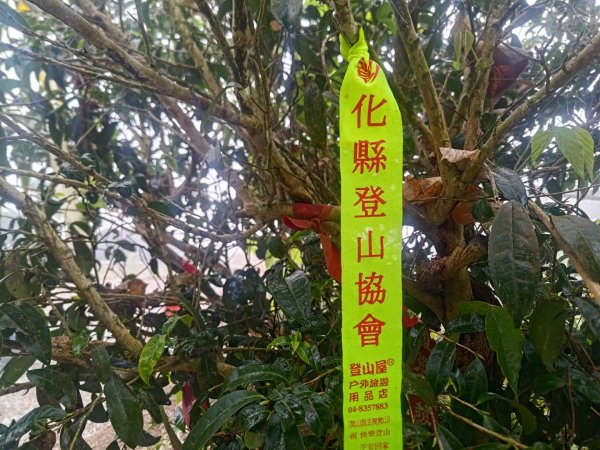 梅山鄉撿山頭2449436