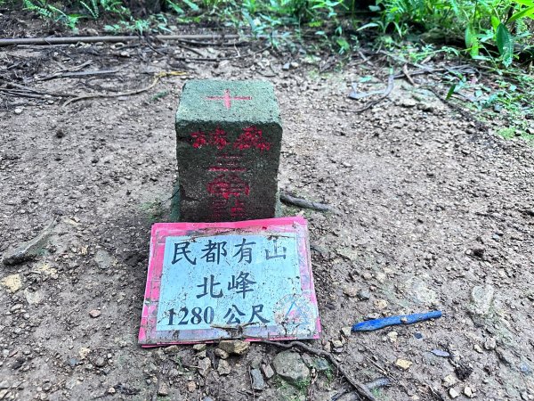 絕美柳杉林民都有山涼爽舒適2604531