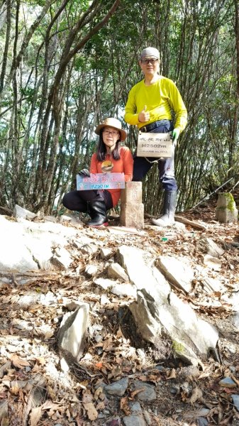 新康五天~戒茂斯進，出瓦拉米2949613