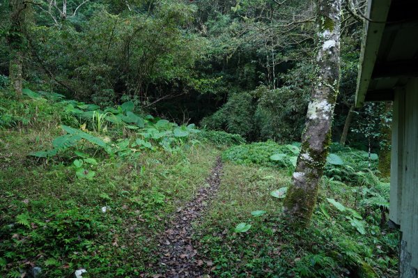 新北 坪林 梳妝頭山2402816