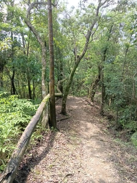 平溪區三功大厝+番子坑山+千階嶺步道O型2781162