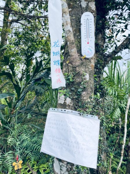 20250413 銀河洞越嶺步道-六分山-待老坑山-員潭子坑山2761201