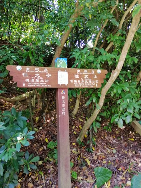 城市裡的綠意盎然。 富陽自然生態公園912111