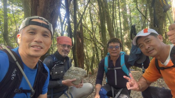 20261014🏋‍♂️四個毆鷄桑🤦 稍來山  屋我尾山👥️🗣👤3134963