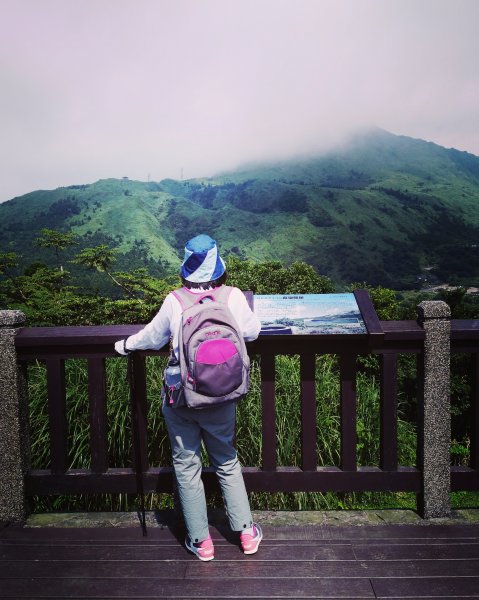 步道探訪｜七星山主東峰苗圃線1443302