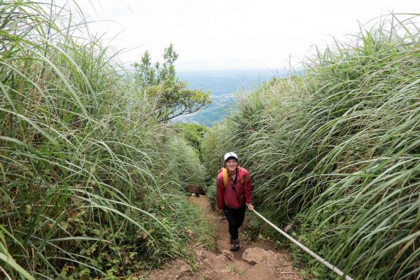 【台北大縱走第二段】大屯西峰、南峰與大屯山的絕美景致1362743