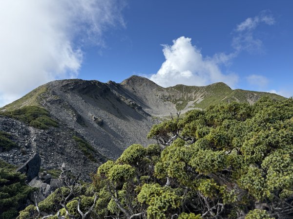 【百岳】雪山肥虎 2 之雪山主北聖稜段＋東峰2671625
