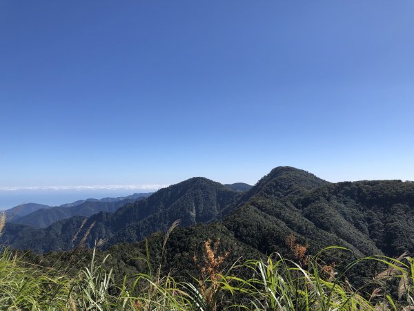 漫步探訪台灣山毛櫸國家步道965885