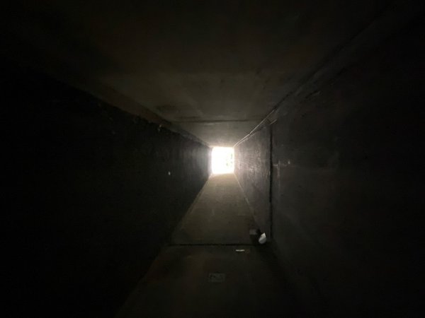 苗栗三義-三員縱走2616512