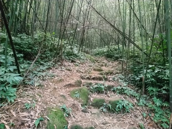 馬那邦山(小百岳編號037)720093