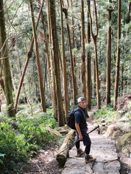 20251218溪頭鳳凰山台寅山上天文台至妖怪村買菜O繞2965591