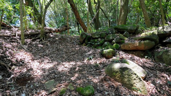 水磨坑古道,竹林古道2561780