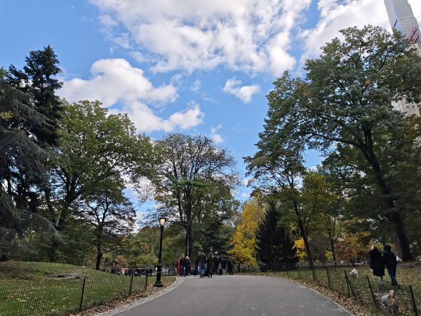[紐約馬之行-10] 2025_1101 紐約中央公園2945004