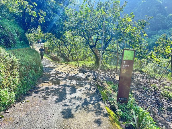 半天岩祈福步道連走修慧步道2622655