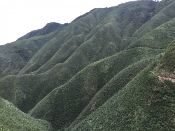 抹茶山&三角崙山566982